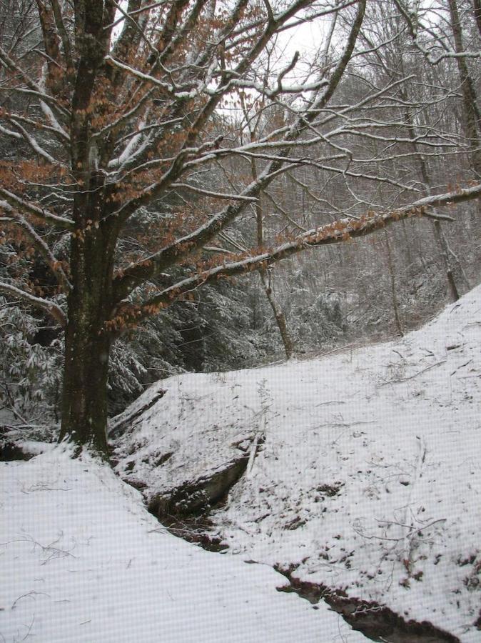 Cozy Creek Cabin Villa Pigeon Forge Exterior photo